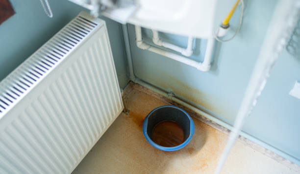 Best Water damage cleanup near me  in Joseph, OR