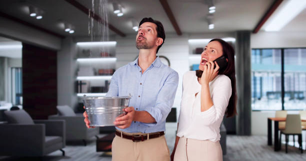 Trusted Joseph, OR Water damage restoration Experts